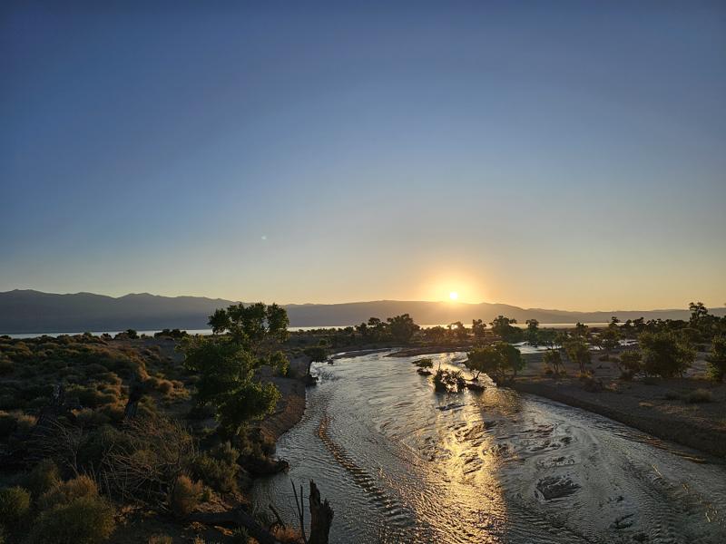 A Bridge, by a Creek, off Highway 395