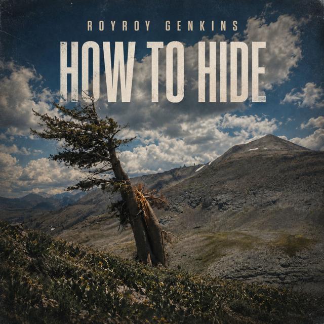 How to Hide artwork