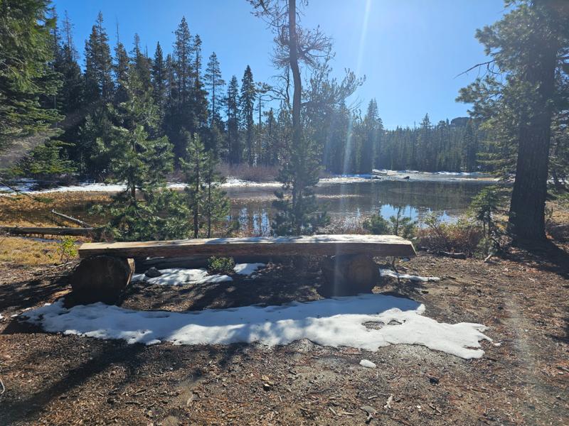 Serene pond in the Sierra Nevadas with chainsaw carved furniture.