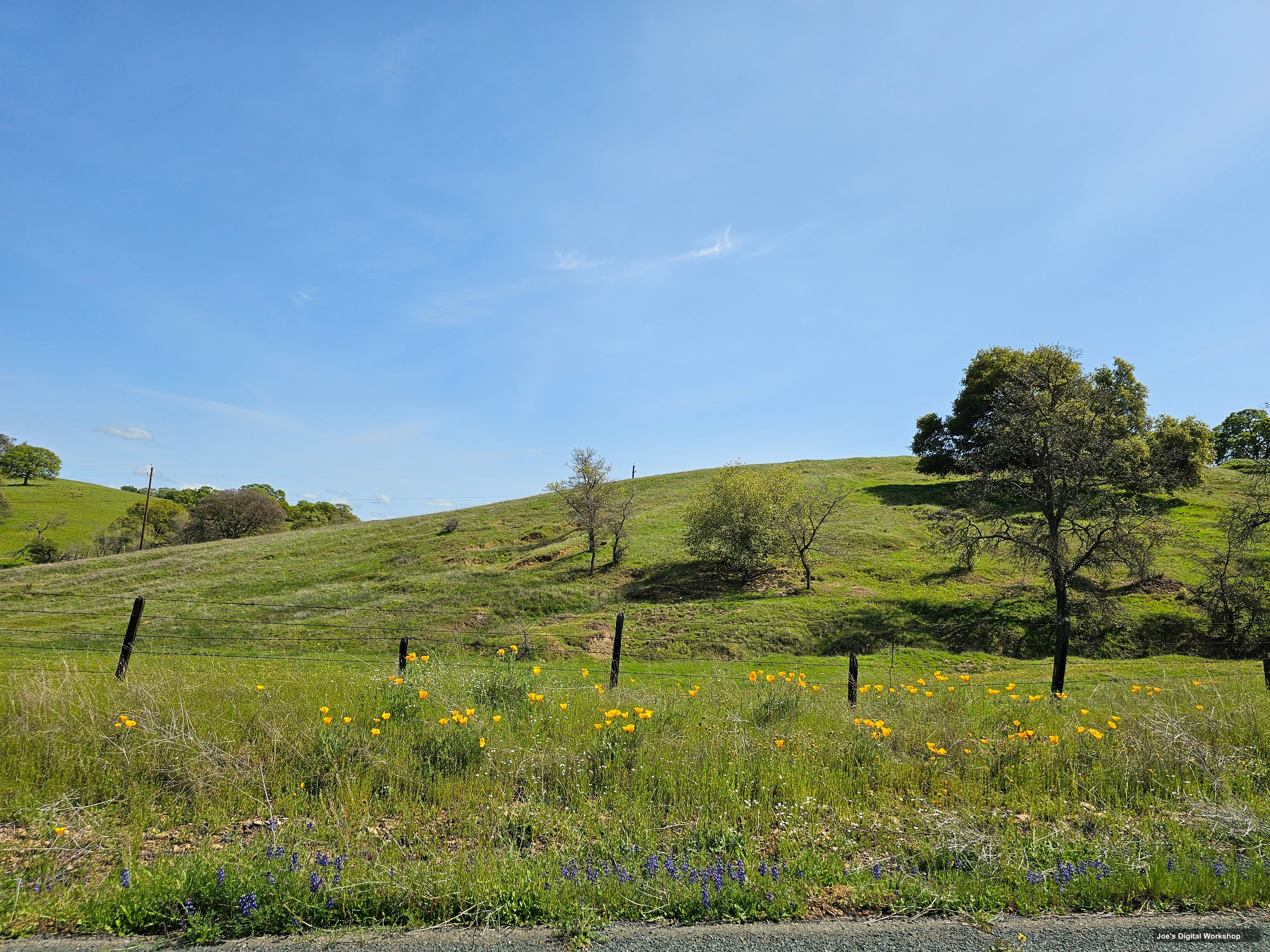 A green mountain foothill landscape from Joe's Digital Workshop exploration photography