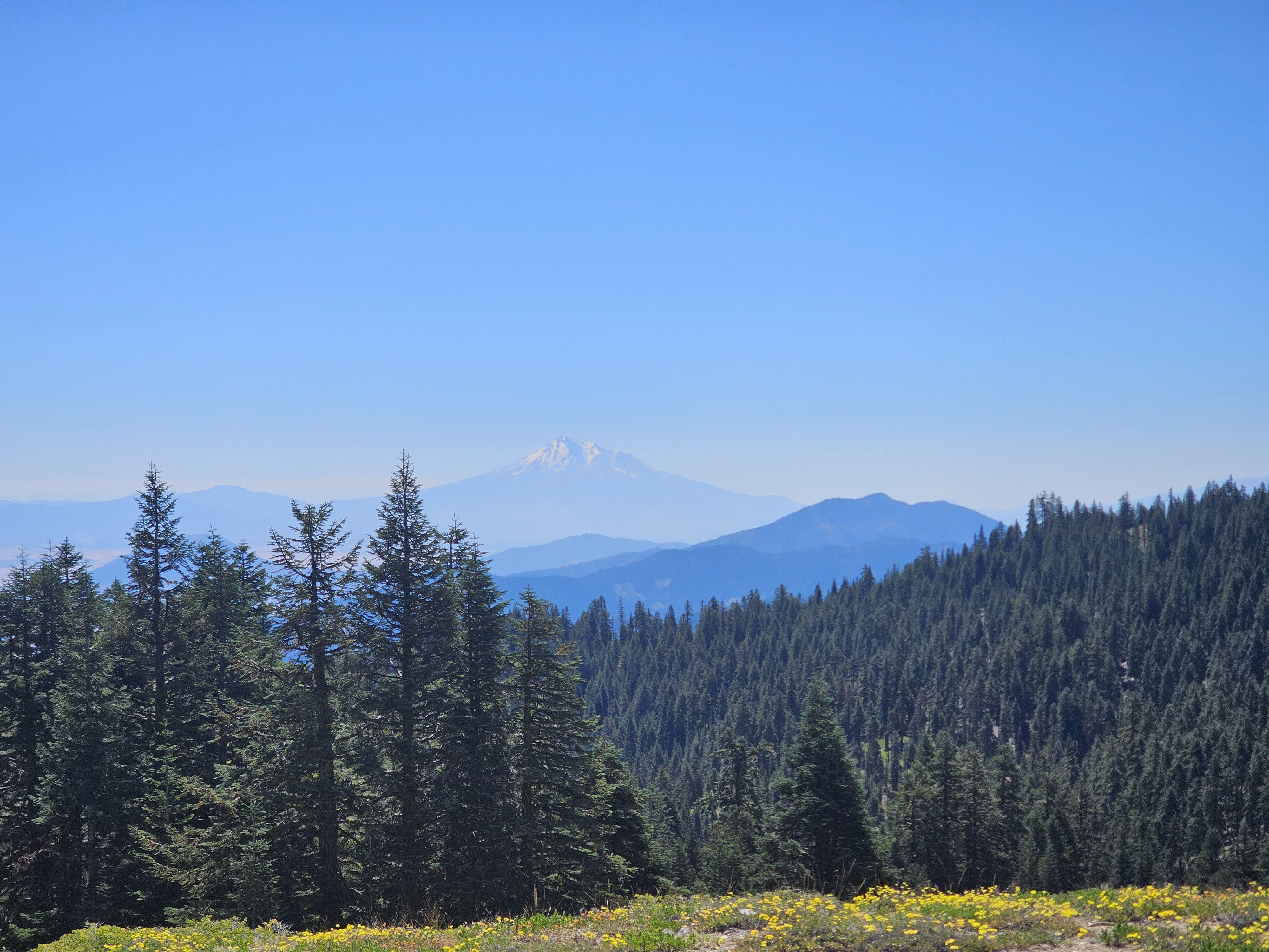 Mount Shasta from Meridian Overlook