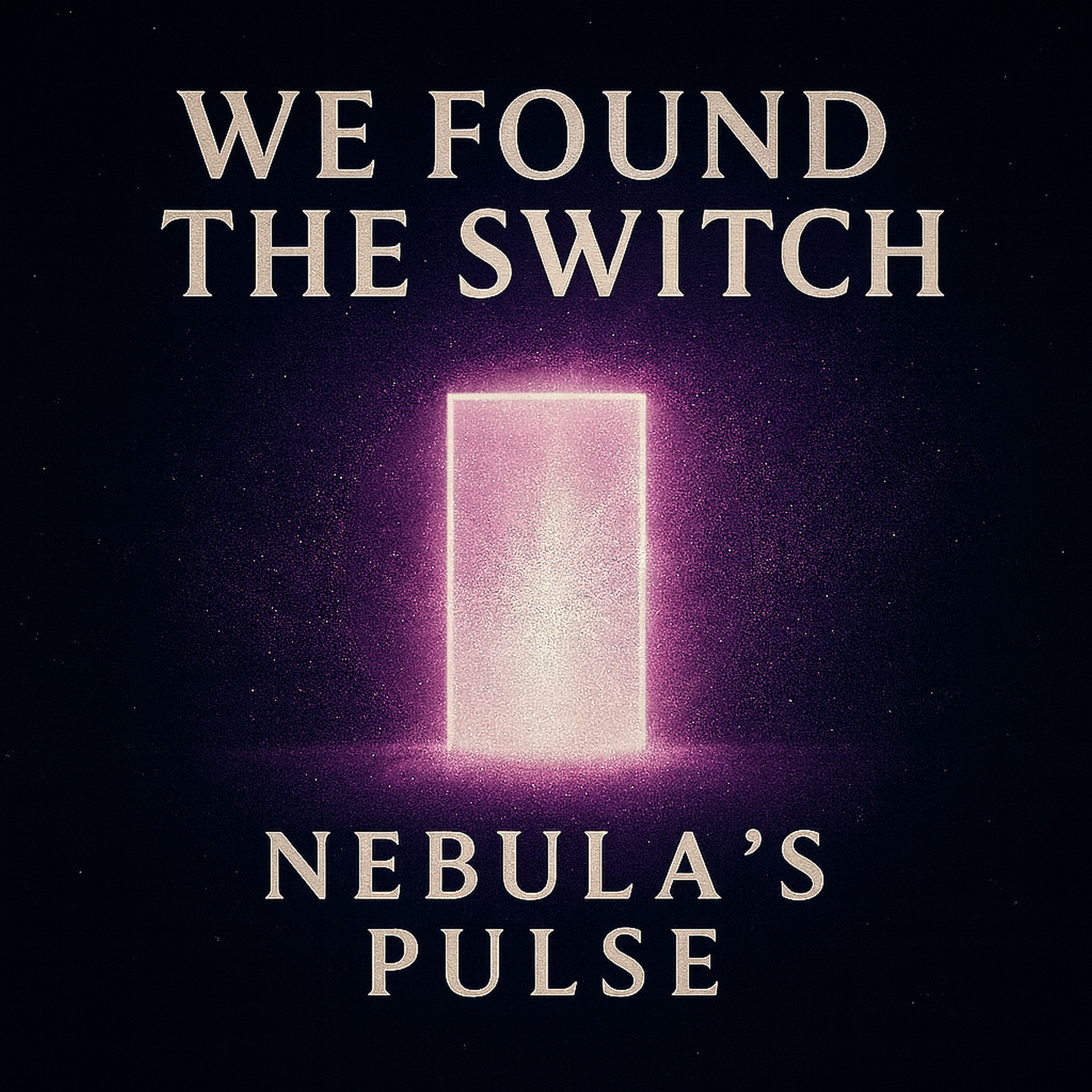 We Found the Switch artwork